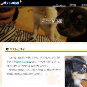 ポートフォリオのイメージ画像